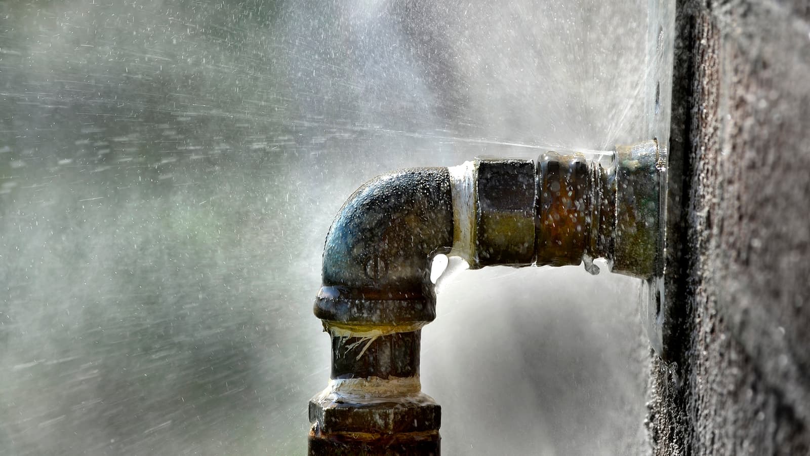 Leak Detection & Pipe Maintenance